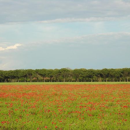 Appartamenti Mirella Bibione Dış mekan fotoğraf